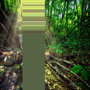 Glitch art created in VR test environment.